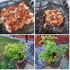 Tuesday, Jul 17 2018,
Another busy day at work, skipped the gym as I was so knackered but went to tesco on the way home and picked up a few things. Watered the garden and it looks like a couple of the small pots are almost ready to be emptied, then made pizza with the lat of what I had left from Saturday.